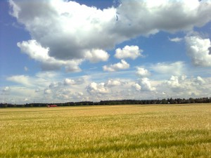 Bild0609